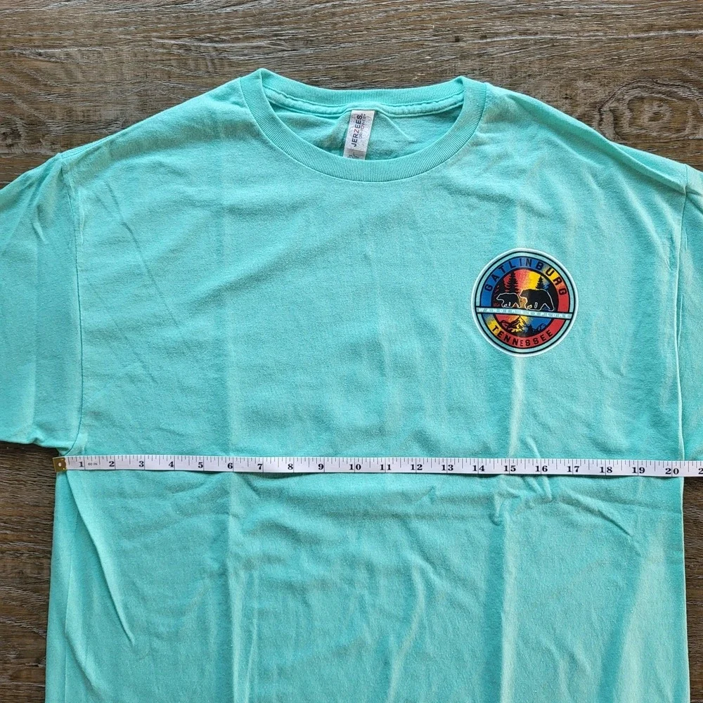 Jerzees Dri-Power Gatlinburg Tennessee Bear Graphic T-Shirt Teal Mens Large